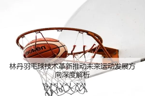 林丹羽毛球技术革新推动未来运动发展方向深度解析