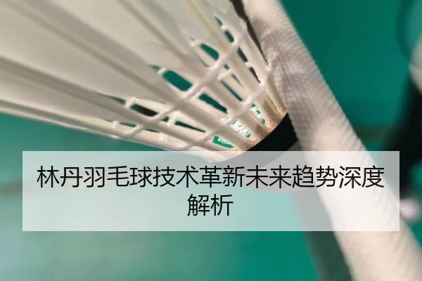 林丹羽毛球技术革新未来趋势深度解析