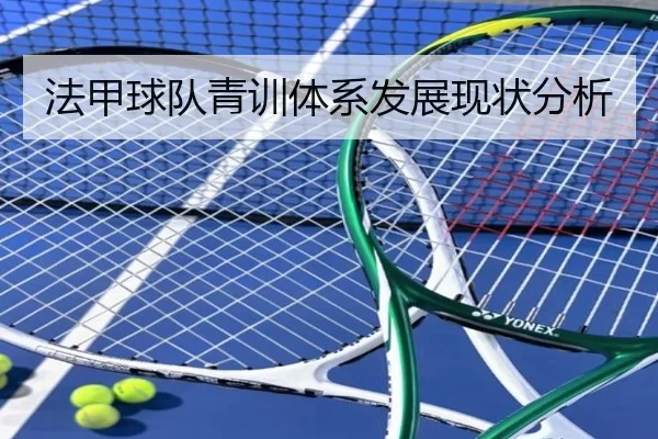 法甲球队青训体系发展现状分析