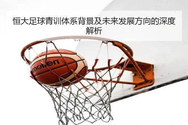 img_1781276791659_87_1_543.jpg