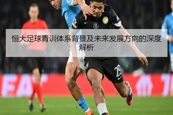 恒大足球青训体系背景及未来发展方向的深度解析