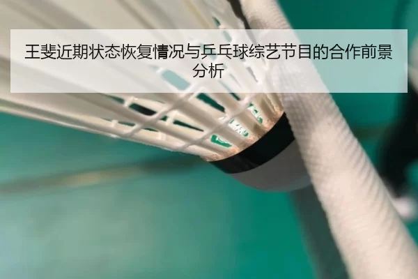 王斐近期状态恢复情况与乒乓球综艺节目的合作前景分析
